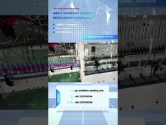 क्षरण रोधी लाइन