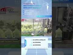 2L सफाई देखभाल उत्पादों shengdailisha